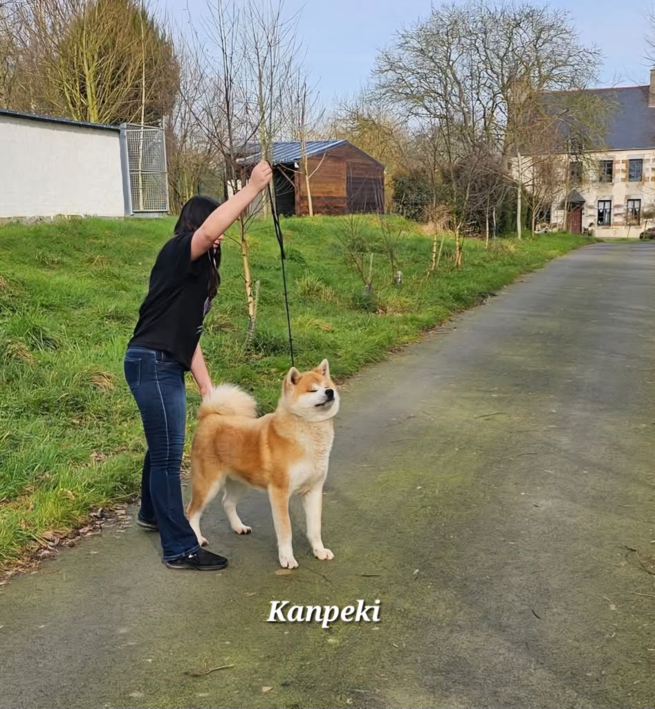 Préparation concours